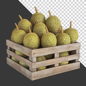 Thùng Sầu Riêng PNG Chất Lượng Cao - Tách Nền Sẵn Sàng cho Thiết Kế