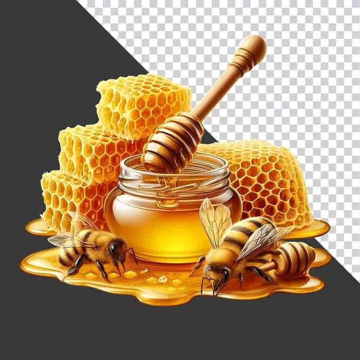 Hình ảnh mật ong nguyên tổ và ong thợ - File PNG