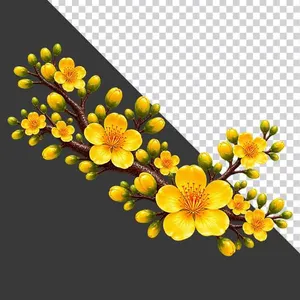 File PNG - Cành hoa mai vàng rẽ nhánh cân đối