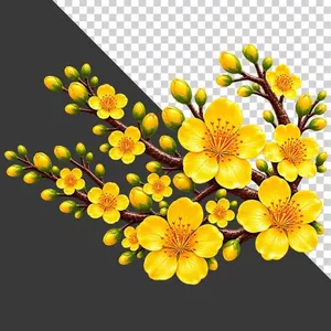 File PNG - Cành hoa mai vàng cụm xòe rộng đối xứng