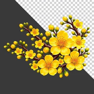 File PNG - Cành hoa mai vàng chùm nở rộ trĩu bông