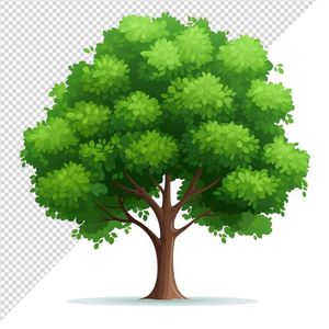 Ảnh cây cổ thụ vector file PNG chất lượng cao - S039