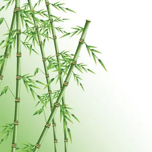 Mẫu backgroud rừng cây tre màu sinh động tự nhiên file AI 044