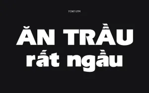 Font chữ Việt hóa UTM Erie Black