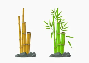 Ảnh minh họa vẽ tay 2 bụi trẻ màu vàng và xanh file AI 067