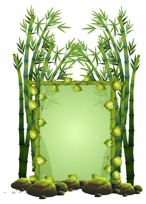 Bộ khung ảnh cây tre tự nhiên vector file AI 072