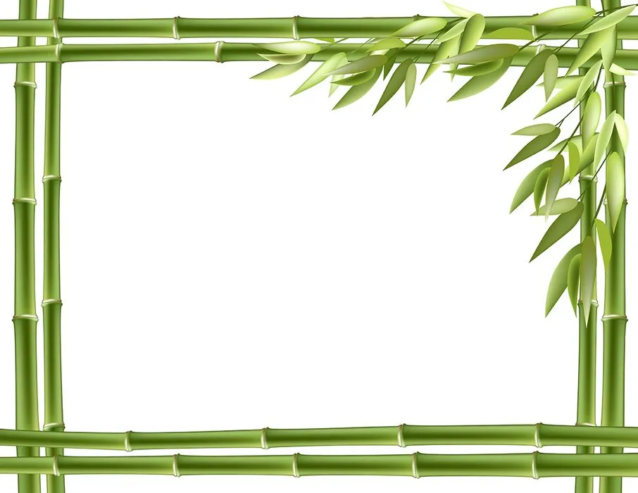 Mẫu banner, backgroud khung vuông cây tre màu xanh file AI 025
