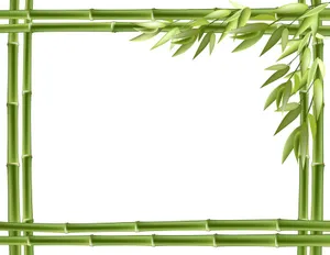 Mẫu banner, backgroud khung vuông cây tre màu xanh file AI 025