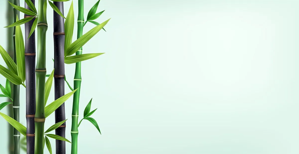 Mẫu backgroud khung cây trúc màu xanh 3D chân thực file AI 107