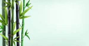 Mẫu backgroud khung cây trúc màu xanh 3D chân thực file AI 107