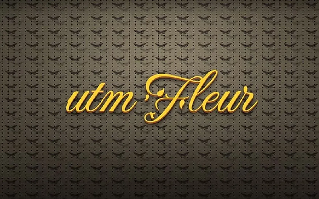 Font chữ viết tay UTM-Fleur Việt hóa