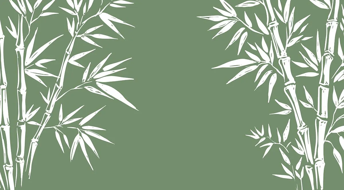 Backgroud ảnh minh họa cây tre màu trắng vector file AI 017