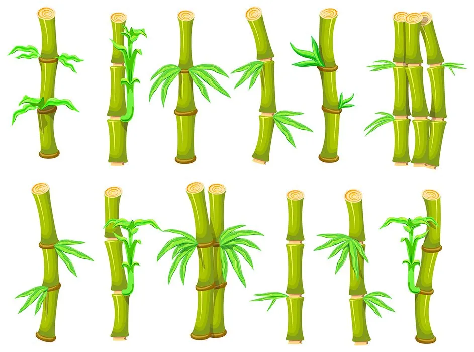 Ảnh minh hoa cậy trúc, cây tre vẽ tay màu nước vector File AI 196