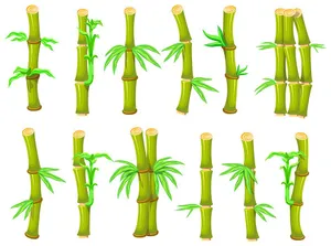 Ảnh minh hoa cậy trúc, cây tre vẽ tay màu nước vector File AI 196