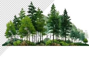 Ảnh dặng cây vector file PNG chất lượng cao - S043
