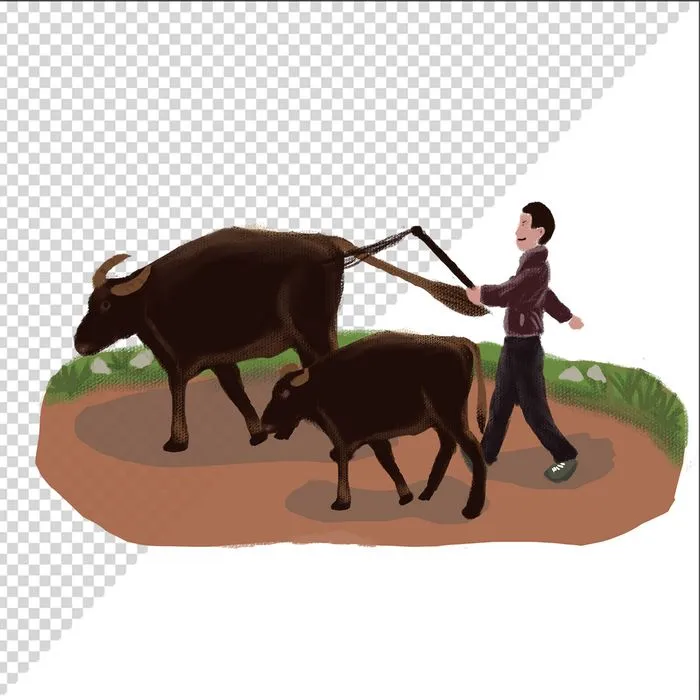 Ảnh vẽ cậu bé dắt trâu phong cách vẽ tay file PNG 037