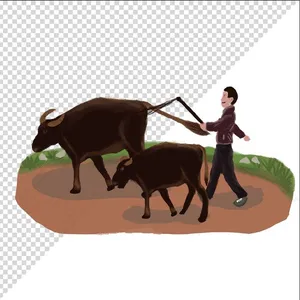 Ảnh vẽ cậu bé dắt trâu phong cách vẽ tay file PNG 037