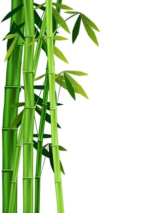 Mẫu backgroud rừng cây tre màu sinh động tự nhiên file AI 045