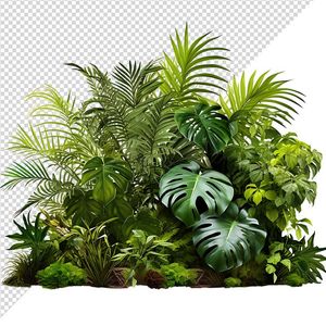 Ảnh bui cỏ dương xỉ vector file PNG dạng pixel - S061