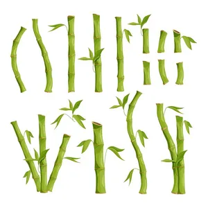 Ảnh minh hoa cậy trúc, cây tre vẽ tay màu xanh vector File AI 159