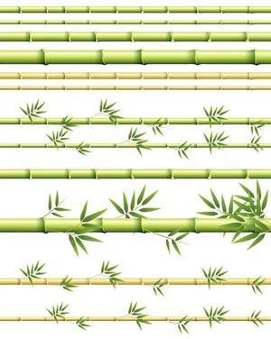 Mẫu ảnh minh họa tre tự nhiên vector file AI 054