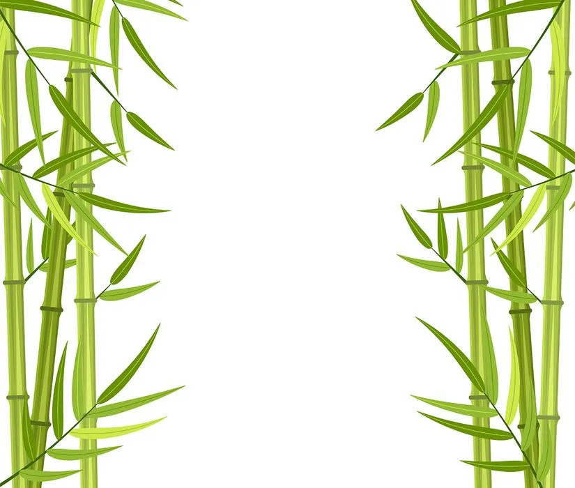 Mẫu backgroud cây tre vector file AI 095