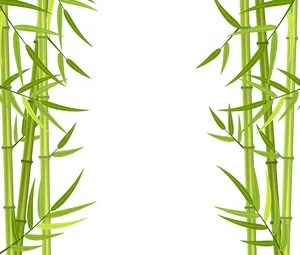 Mẫu backgroud cây tre vector file AI 095