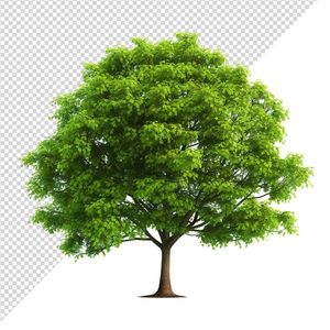 Ảnh cây cổ thụ vector file PNG dạng pixel - S048