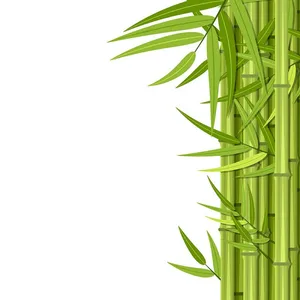 Ảnh minh hoa cây trúc, cây tre vẽ tay vector File AI 233
