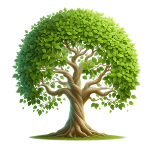 Ảnh cây lá bồ đề vector file PNG chất lượng cao - S016