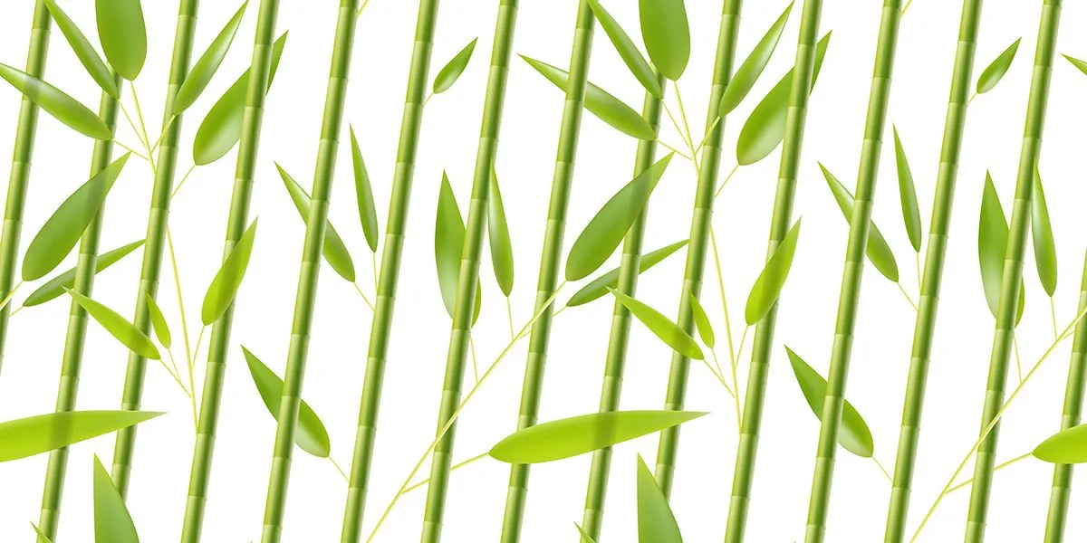 Mẫu backgroud rừng tre trúc màu xanh file AI 151