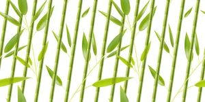 Mẫu backgroud rừng tre trúc màu xanh file AI 151