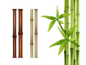 Mẫu ảnh mình họa cây tre vẽ tay vector file AI 038