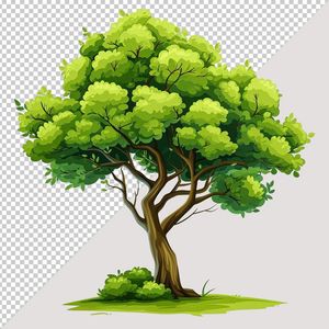 Ảnh cây xanh vector file PNG chất lượng cao - S024