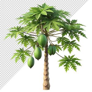 Ảnh cây đu đủ vector file PNG dạng pixel - S064
