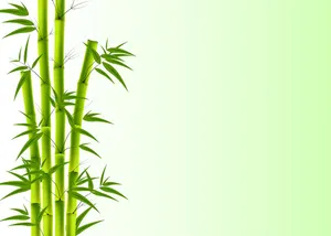 Backgroud cây tre màu xanh tối giản file AI 011