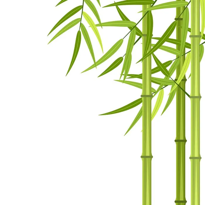 Ảnh minh hoa cậy trúc, cây tre vẽ tay màu xanh vector File AI 176
