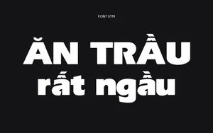 Font chữ Việt hóa UTM Erie Black