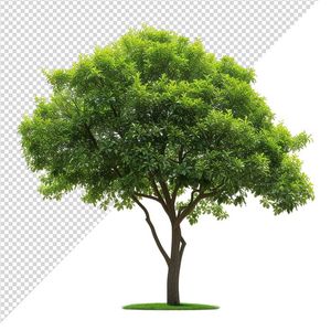 Ảnh cây cổ thụ vector file PNG dạng pixel - S050