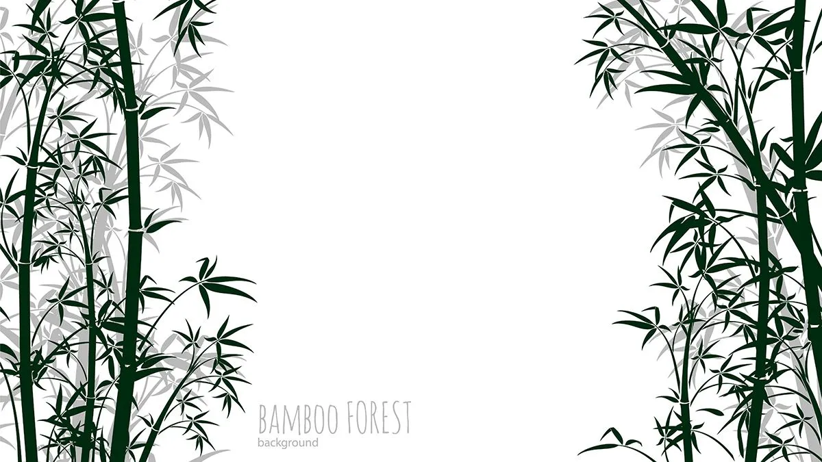 Backgroud ảnh minh họa cây tre màu xanh chân thực vector file AI 019