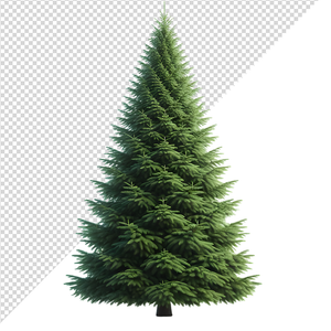 Ảnh cây thông vector file PNG chất lượng cao - S033