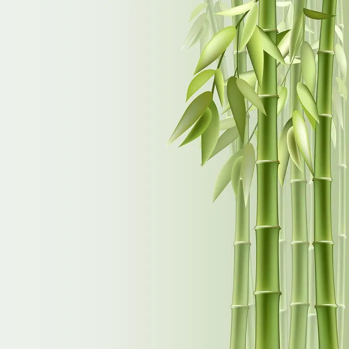 Mẫu backgroud cây tre màu xanh vector file AI 103