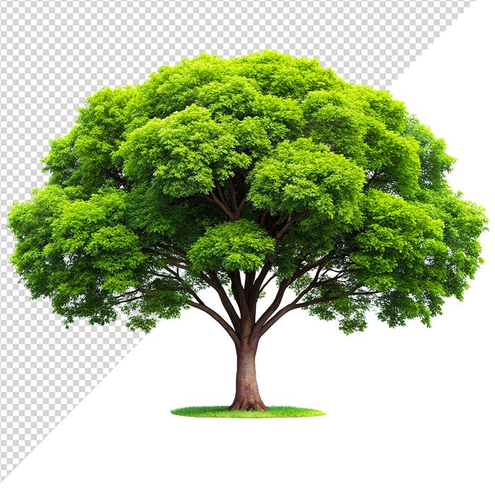 Ảnh cây xanh vector file PNG dạng pixel - S058