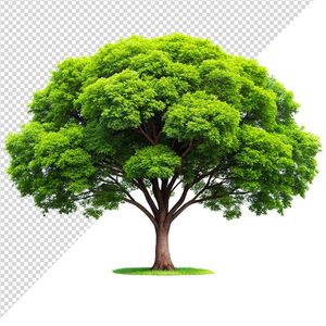 Ảnh cây xanh vector file PNG dạng pixel - S058