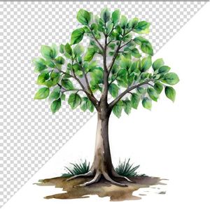 Ảnh cây xanh vector file PNG chất lương cao - S074