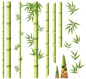 Mẫu ảnh mình họa cây tre sinh động vector file AI 037