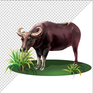 Ảnh vẽ con trâu ăn cỏ phong cách vẽ tay file PNG 030