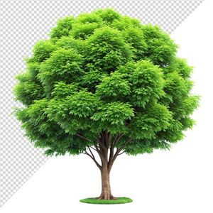 Ảnh cây xanh thụ vector file PNG dạng pixel - S054