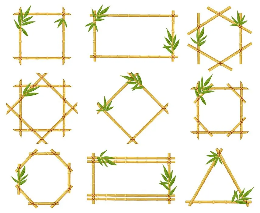 Bộ sưu tập khung ảnh cây tre màu vàng chân thực vector file AI 018
