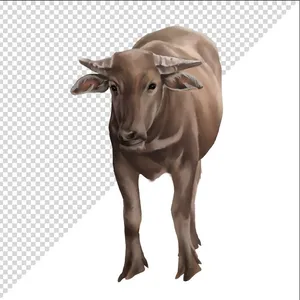 Ảnh vẽ con trâu phong cách vẽ tay file PNG 017